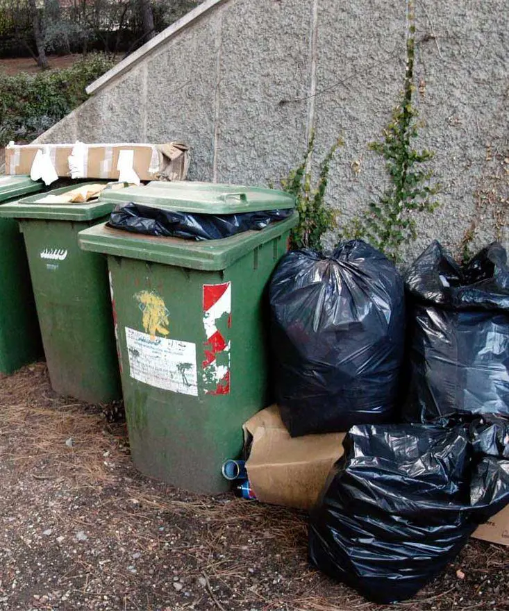 Contro la rumenta 110 multe al mese