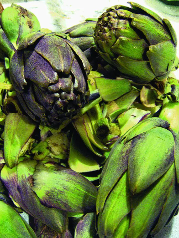 Carciofi a peso d’oro, il ladro  li ruba e cucina «pasqualine»