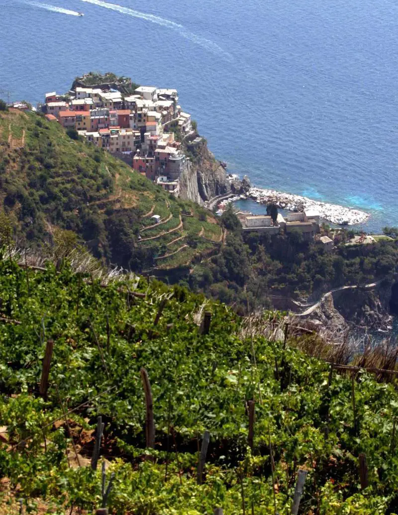 Tra mare e vigneti delle Cinque Terre