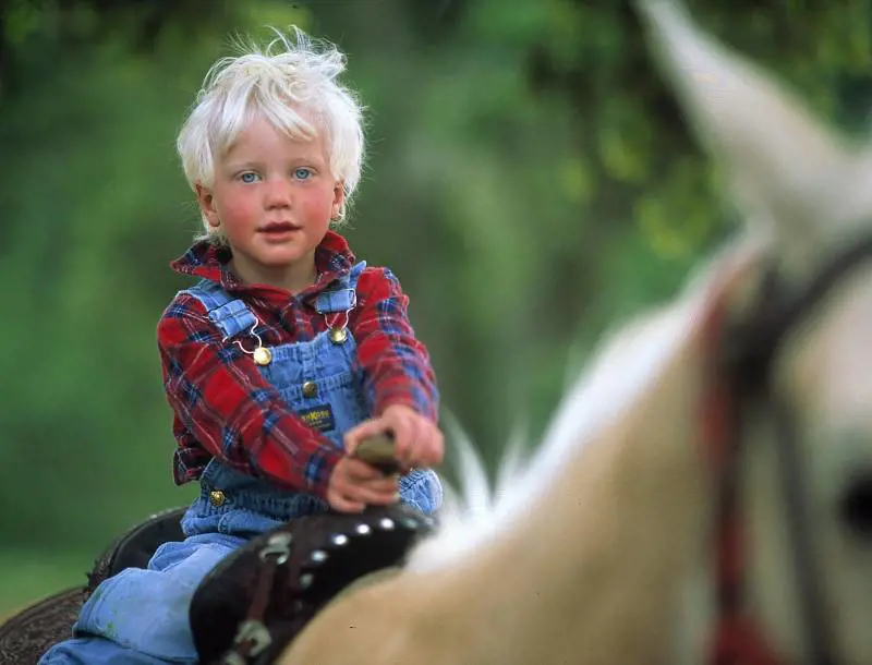 «Napolitano fermi la persecuzione contro Henriquet»