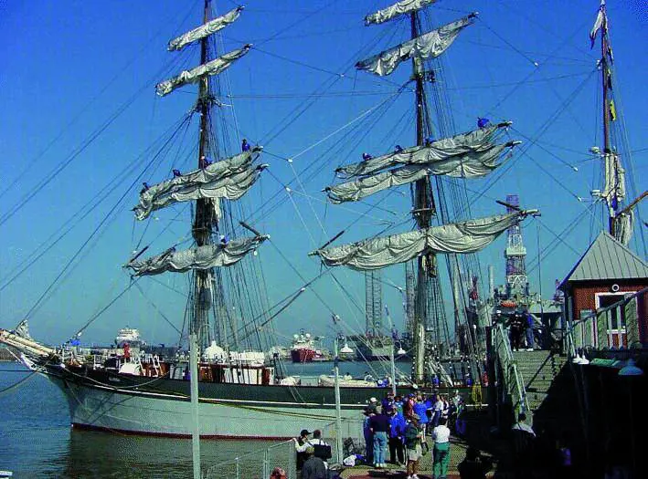 Una notte bianca tra balli e concerti Da piazza Banchi allAcquario, unabbuffata di spettacoli musicali
