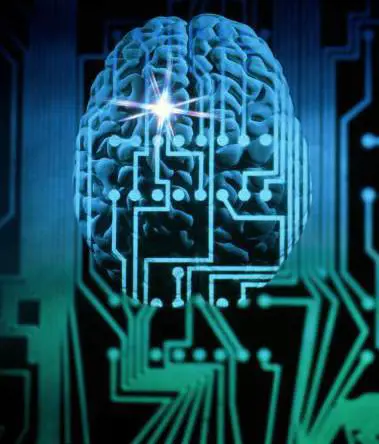 Il circo dell'innovazione: dal commercio elettronico alla musica per cellulari 
 