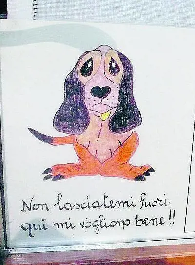 Alla Trattoria del Gallo i cani sono i benvenuti a tavola