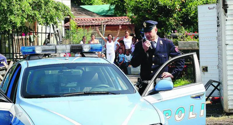 "I bimbi rom addestrano cani da combattimento"