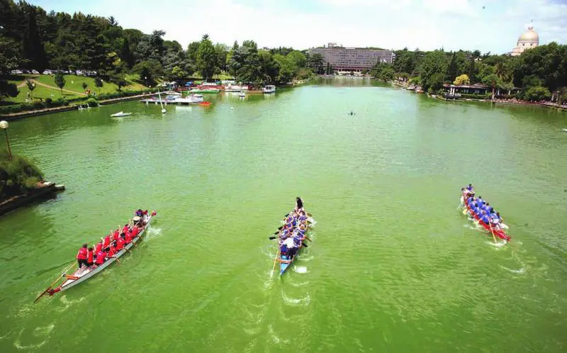 Eur, le «Dragon Boat» sfrecciano sul laghetto