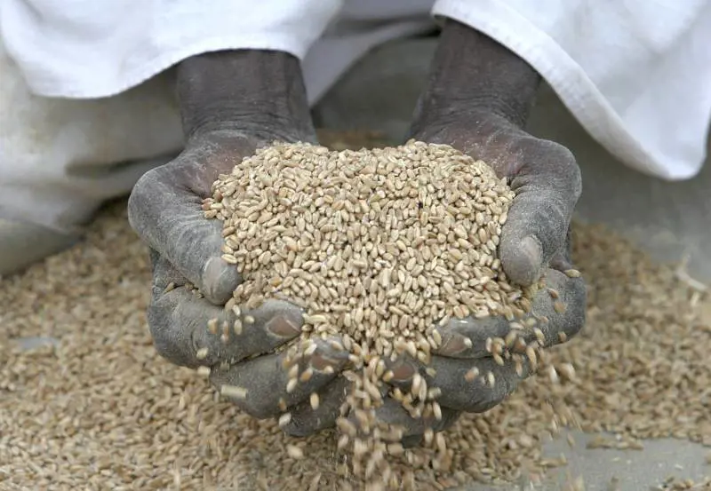 Barroso: "Fondo da un miliardo per fermare la fame". Ma poi la decisione è rinviata