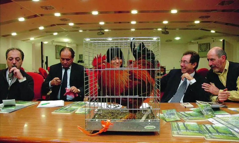 Zona 3, dodici sedute in otto giorni: i consiglieri fanno incetta di gettoni