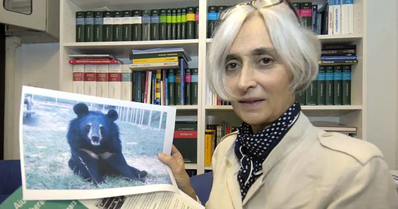 Una genovese lotta per salvare gli orsi cinesi