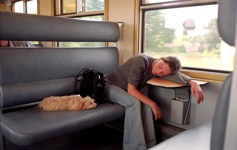 I cani possono tornare 
a viaggiare in treno