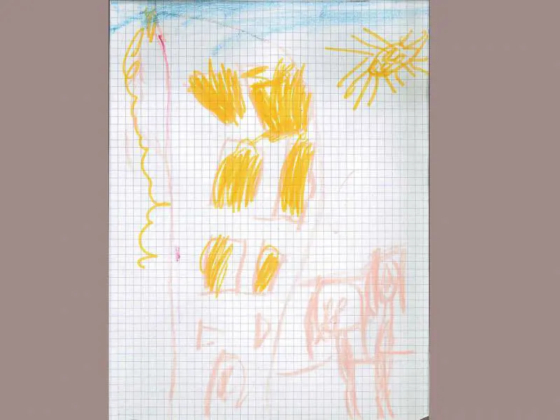 Il disegno di Rachele