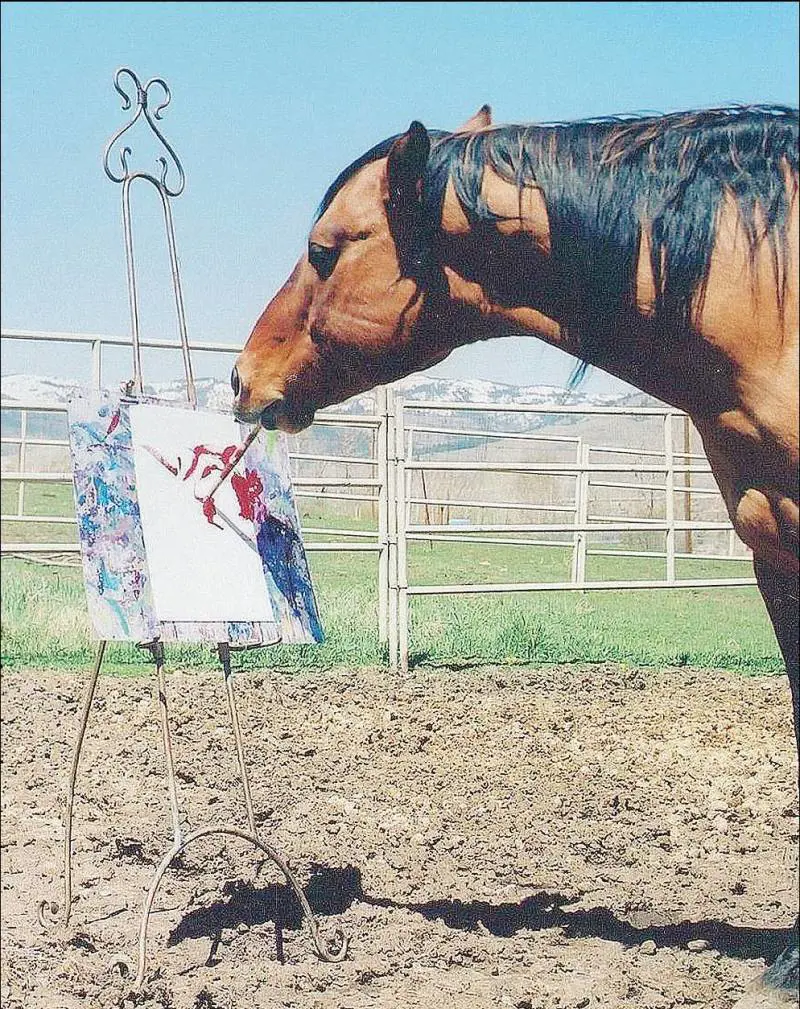 Cholla, il cavallo che dipinge 
meglio di un artista del pennello
