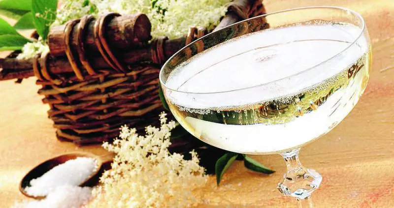 Viaggio tra le migliori bollicine dellOltrepò