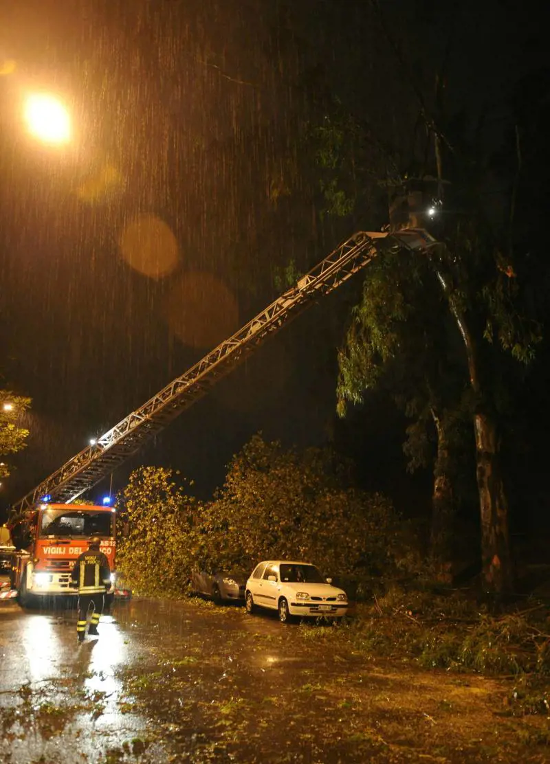 Maltempo, a Roma 13enne ucciso da un albero