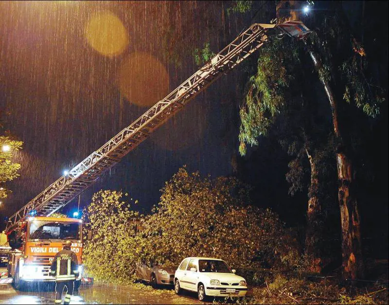 Maltempo, tredicenne schiacciato da un albero