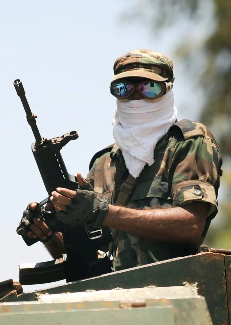 Sri Lanka, le "Tigri" Tamil depongono le armi