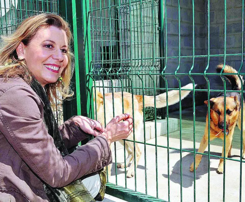 «Il Canile di Sestri è così bello che calma anche i cani agitati»