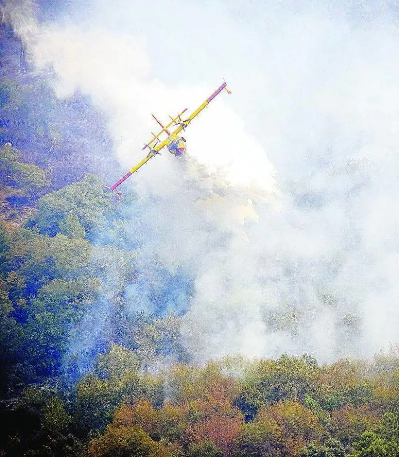 Preso un piromane, ma in Italia divampa la paura