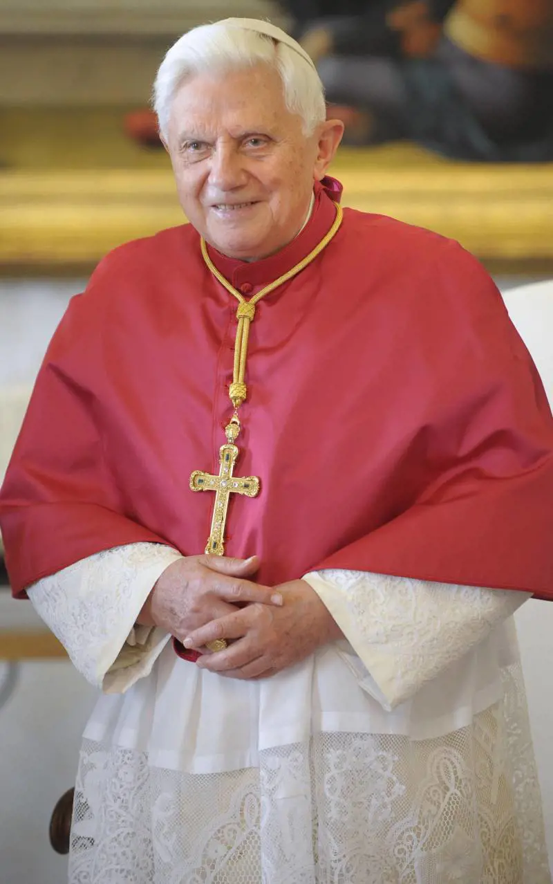 Pedofilia, il Papa si vergogna: «I preti colpevoli la pagheranno»