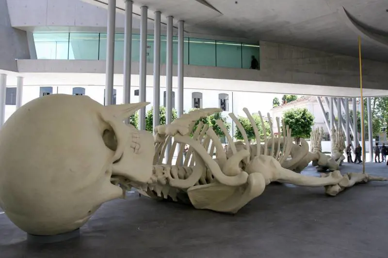 Bello ed esagerato come un ottovolante