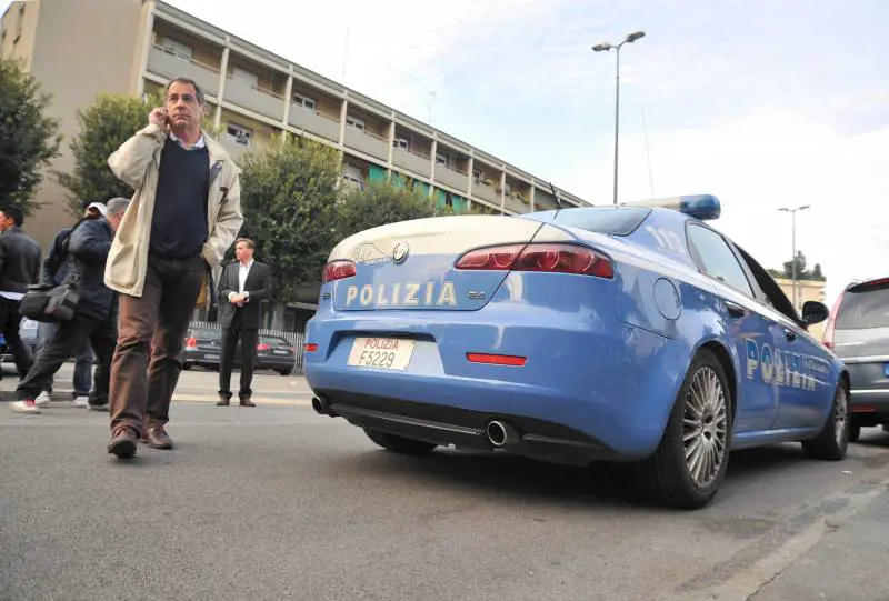 Tassista investe un cane per sbaglio 
Padrone lo pesta in strada: in coma