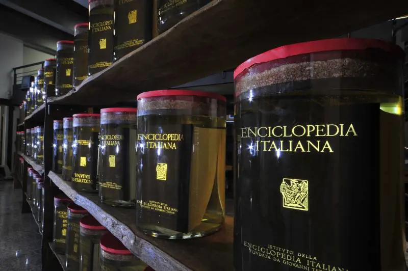 La Treccani va sul web per non finire sott’olio