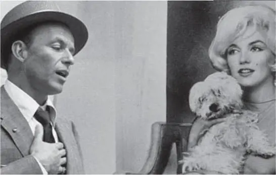 Il diario del cane più famoso di Hollywood