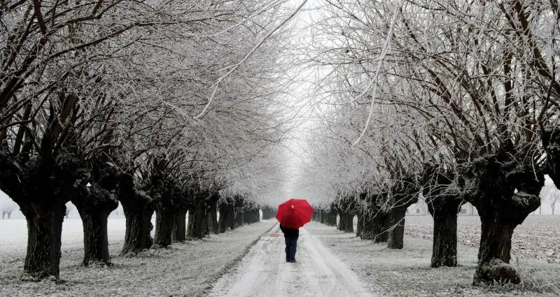 Freddo dai Balcani Liguria sotto zero fino a mercoledì