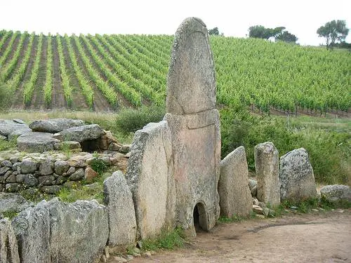 Agricoltura, la Sardegna lancia il coordinamento delle regioni Ue