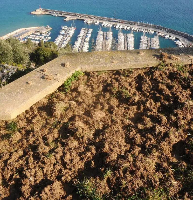 Ladri scatenati nelle chiese, l’allarme cresce