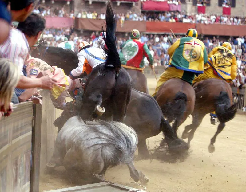 Lacrime di coccodrillo sul cavallo morto al Palio 
A Siena un altro baio è morto in uno schianto