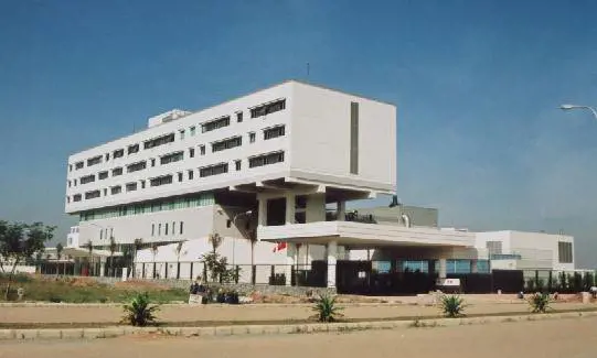 Hanoi, cremonese morta per choc anafilattico: 
uccisa dalla puntura che la doveva salvare