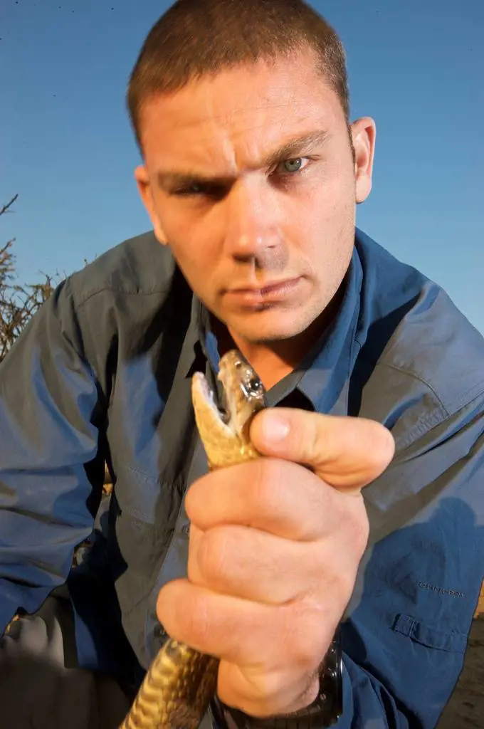 Eroici, impavidi e muscolosi:  ecco la Tv per i "veri" uomini