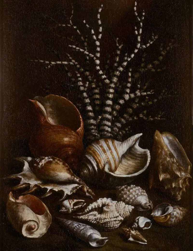 SILVANO LODI