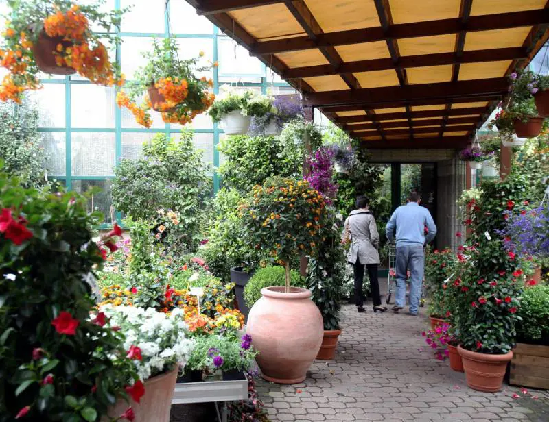 I milanesi «copiano» lidea di un albergo per le piante