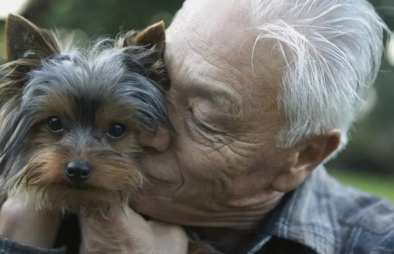 Amore infinito, cani e padroni sepolti insieme