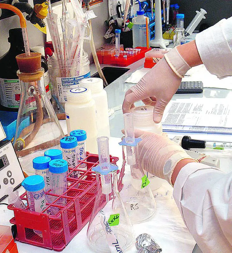 Dai ricercatori milanesi uno «scudo» contro lHiv