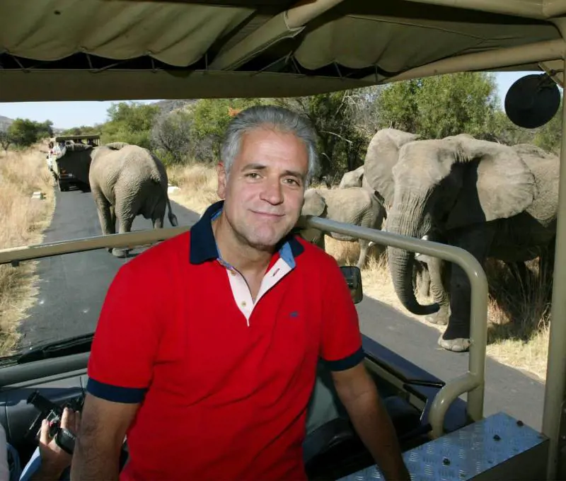 Lalleanza animali-politici: cani ai comizi o in analisi gatti con tendenze suicide