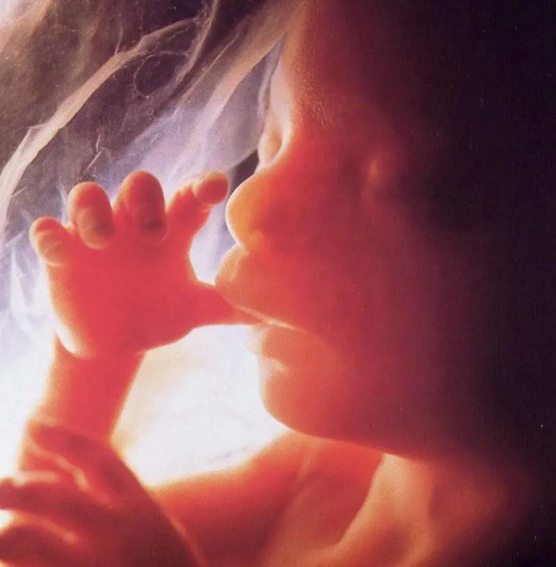 LInghilterra adesso è più vicina alla Cina Aborti illegali solo se la figlia è femmina