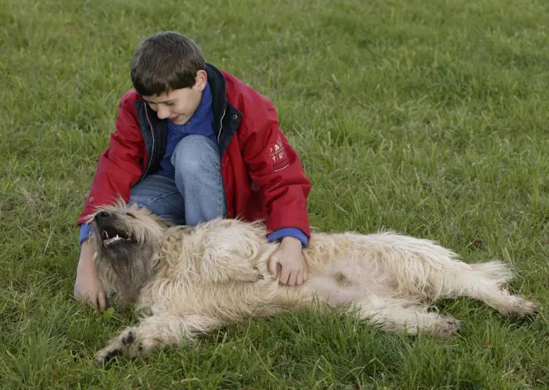 Si alleano le associazioni verdi È la "confindustria" animalista