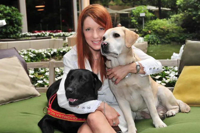 Alberghi a 5 stelle per cani e gatti