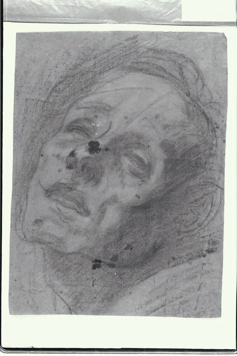 Il comune di Milano mette on-line i disegni attribuiti a Caravaggio
