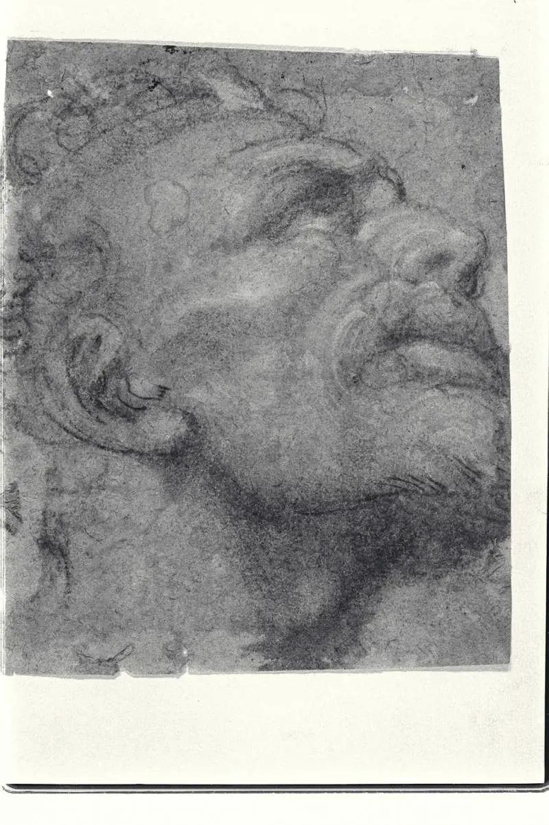 Immagine gallery