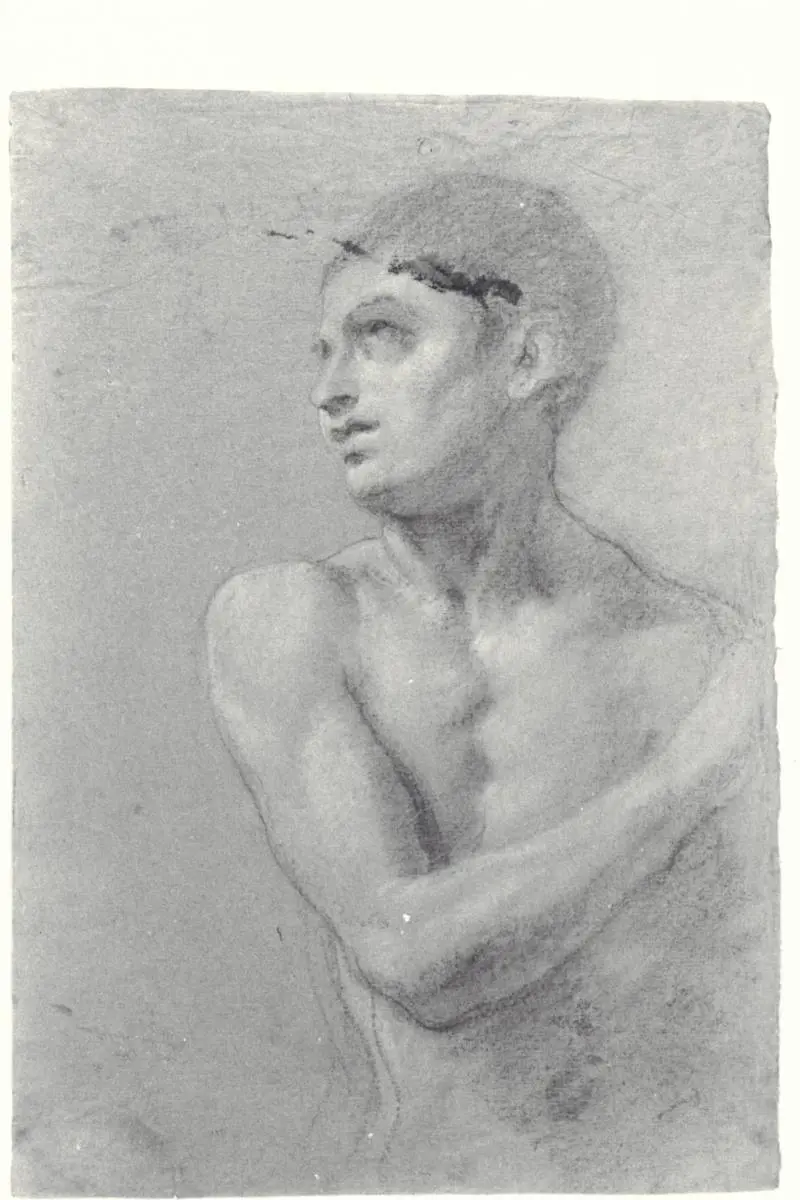 Immagine gallery