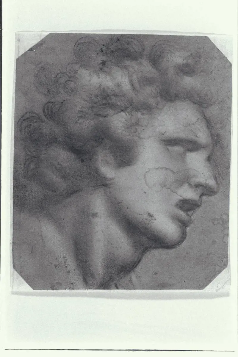 Immagine gallery