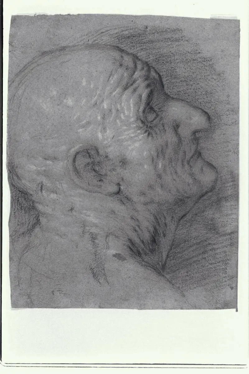 Immagine gallery