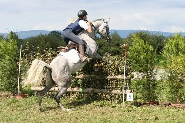 Coppa Europa di trec in Germania