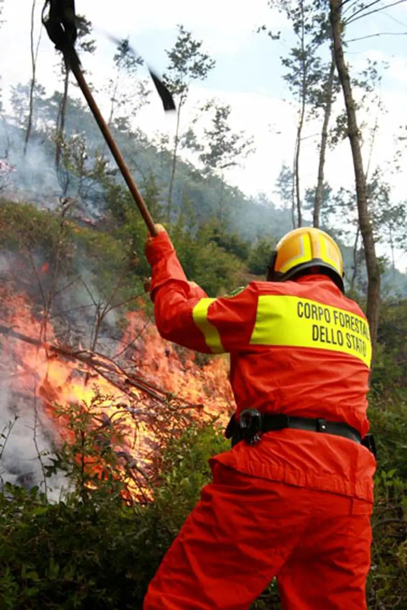 È emergenza incendi: 2 vittime in Emilia, fermato un piromane