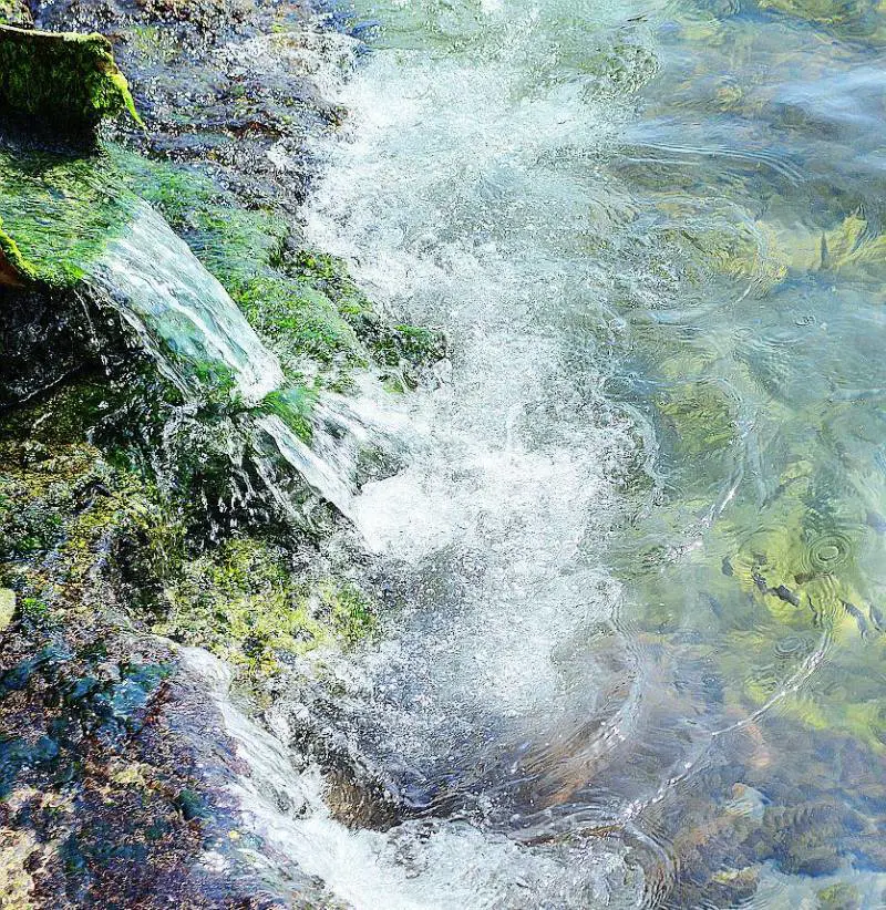 Il Comune e la polvere sotto il tappeto