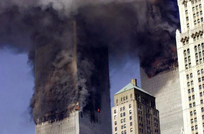 Immagine gallery