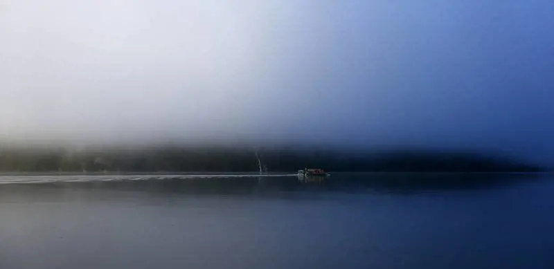 Immagine gallery